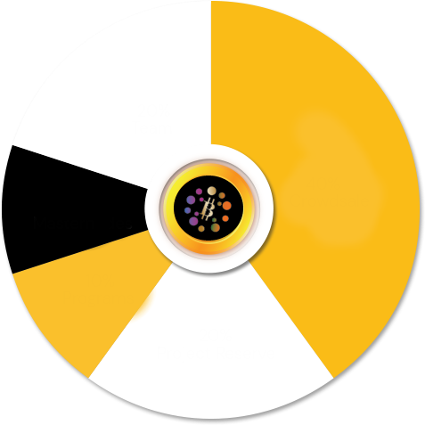 About Mercury